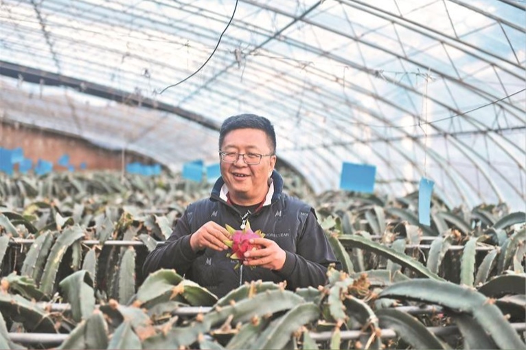 他“一拍脑门”，种出个“热带果园”