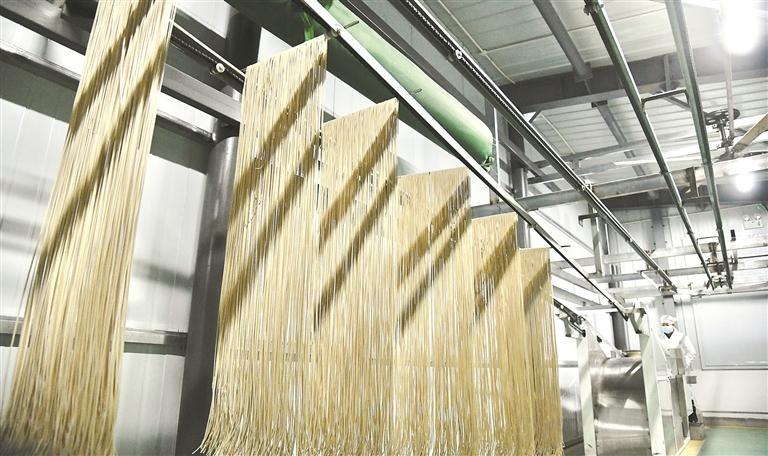 一把面条“煮”出乡村振兴好日子