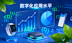 数字化应用水平